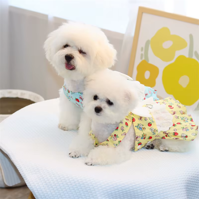 Arnés con falda floral y correa para perro – Chihuahua y Bichón - imagen 3