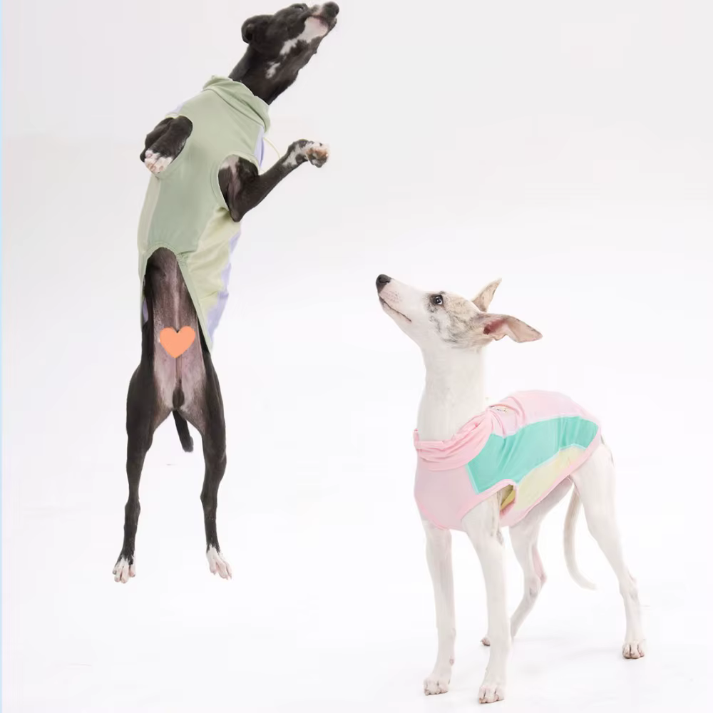 Chaleco solar para perros Italian Greyhound – Ultraligero y transpirable - imagen 4