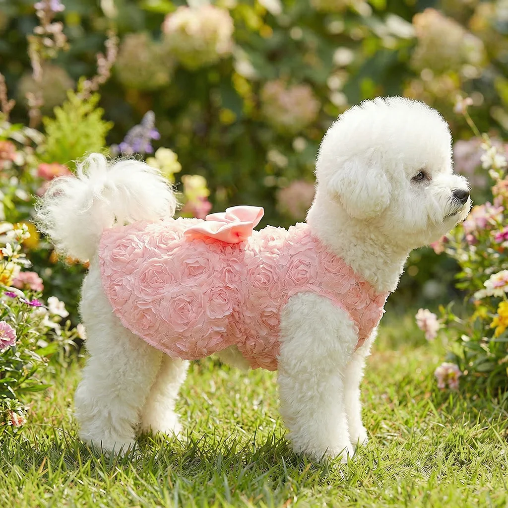 Vestido de princesse con flores para perro pequeño
