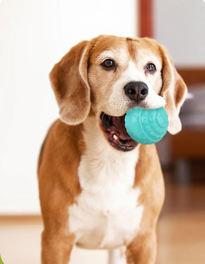 Pelota interactiva para masticar