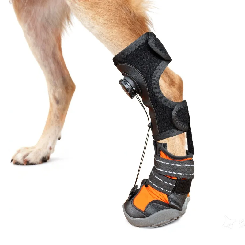 Zapatos antideslizantes para gatos y perros, transpirables, limpios - imagen 3