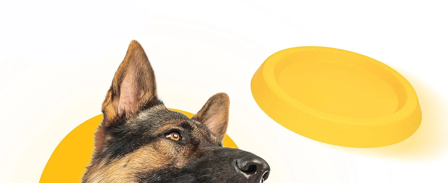 Disco volador amarillo para perros