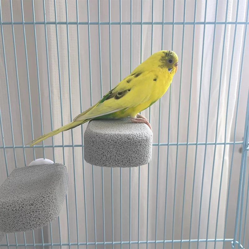 2 Percheros para Aves – Plataforma Colgante para Loros - imagen 5
