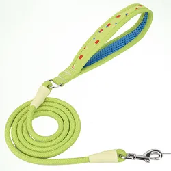 Correa para Perro de Nailon con Mango Cómodo – Paseo y Tiro, 150 cm