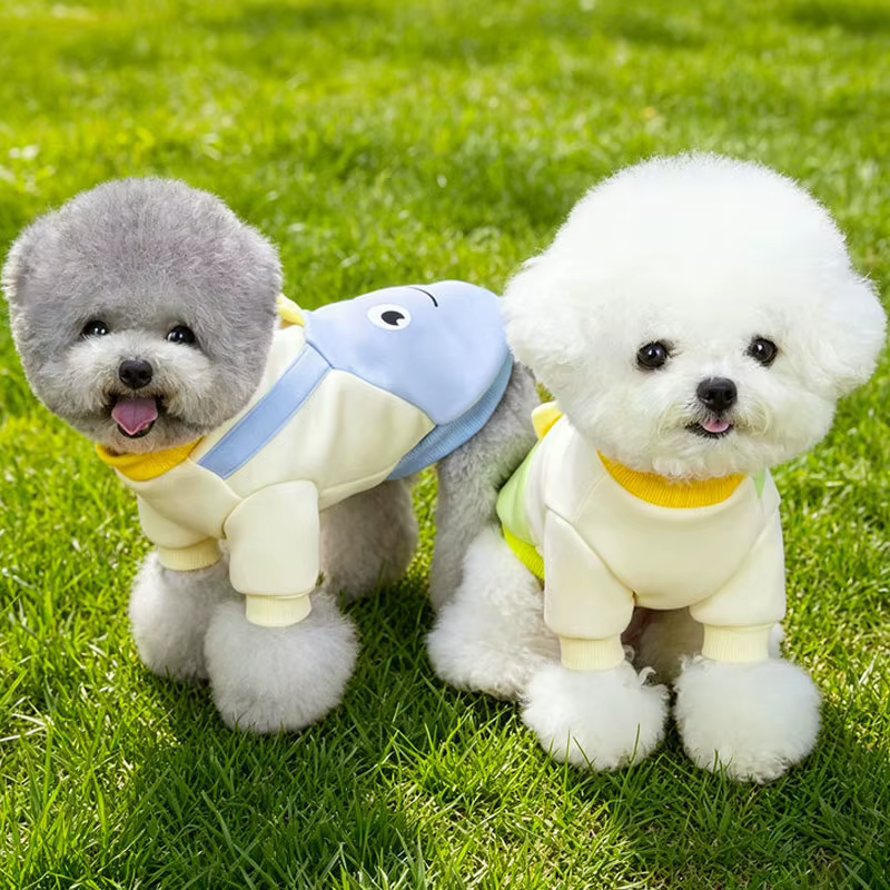 Sudadera con capucha para perros pequeños, Chihuahua y Bichón - imagen 4