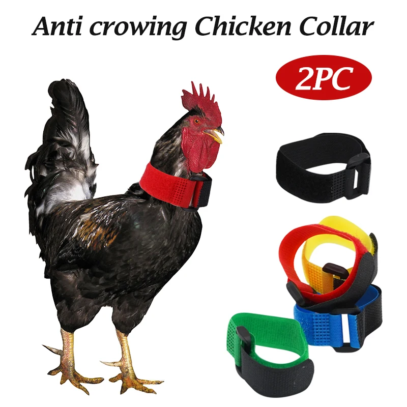 Vista frontal del collar ajustable