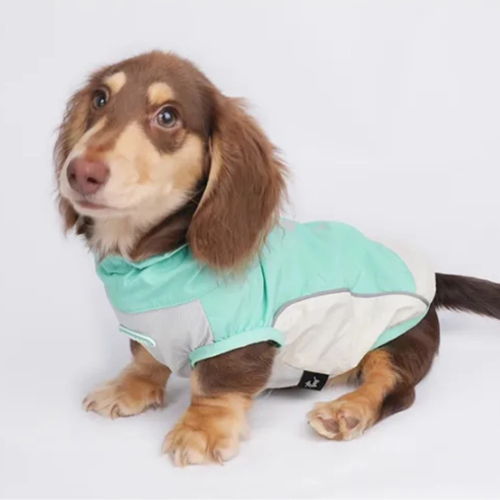Chaleco refrigerante verano para perros Dachshund, anti-insectos