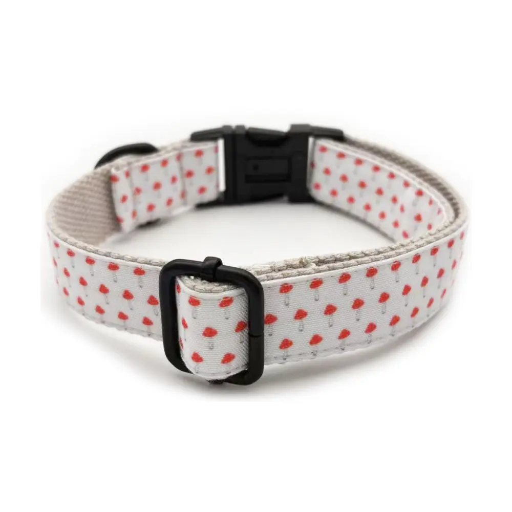 Combo collar y correa