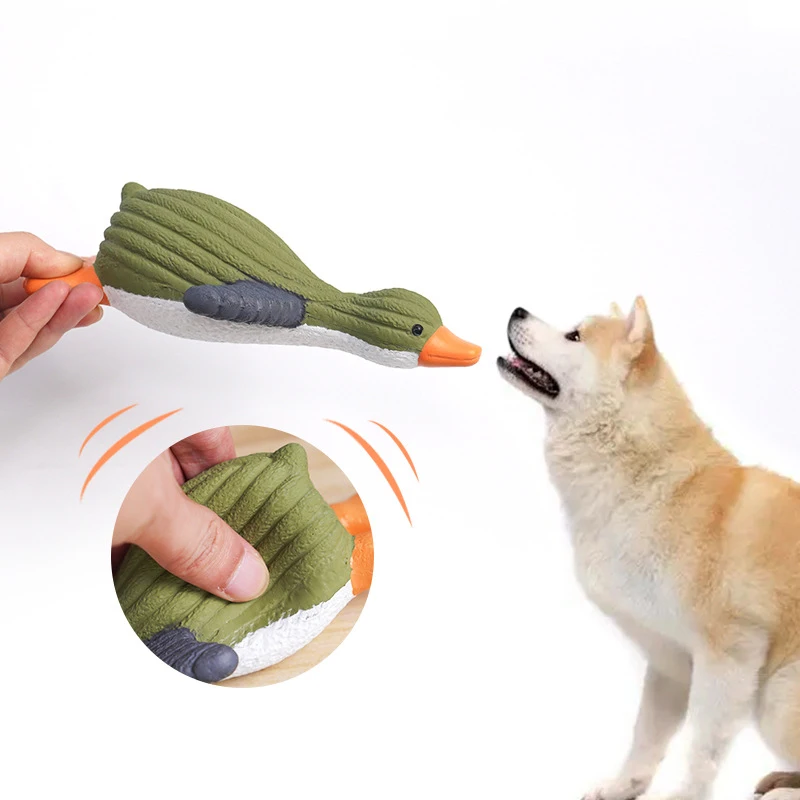 Pingüino chirriante de látex para perros, vista frontal