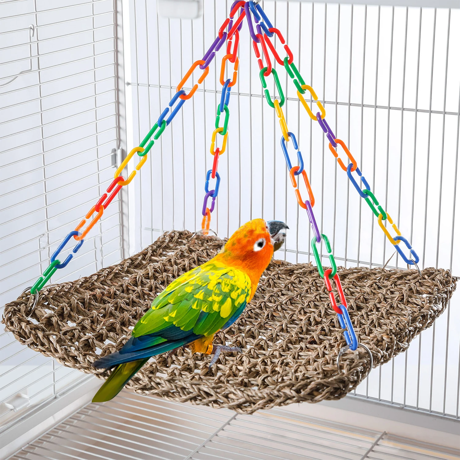 Pájaro usando la hamaca