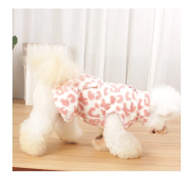 Guía de tallas para perros pequeños