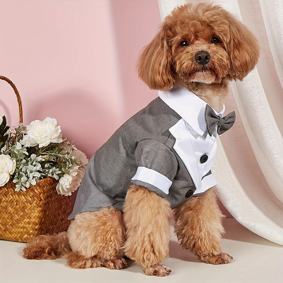 Perro con atuendo