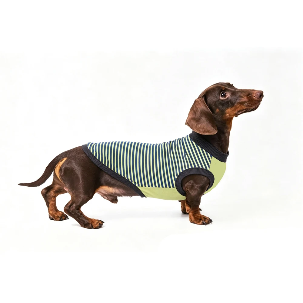 Chaleco sin mangas de algodón a rayas para dachshund – Primavera y verano - imagen 2