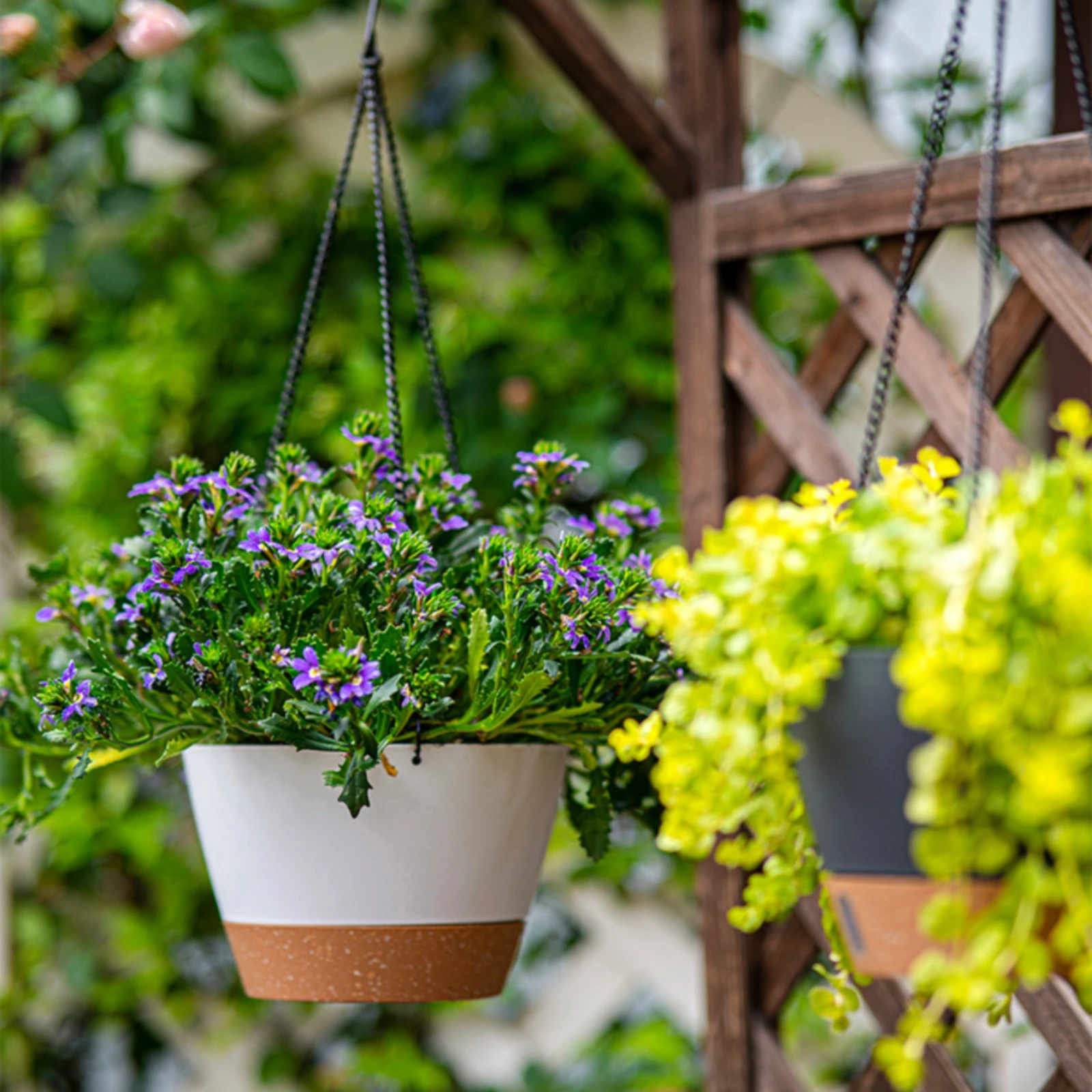 Maceta colgante de plástico bicolor para gatos y perros, jardín - imagen 4