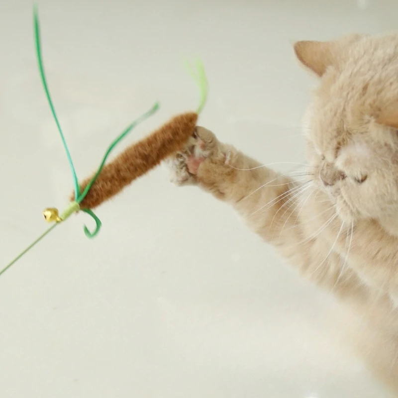 Juguete para gatos con varita, campana chirriante y mordida resistente