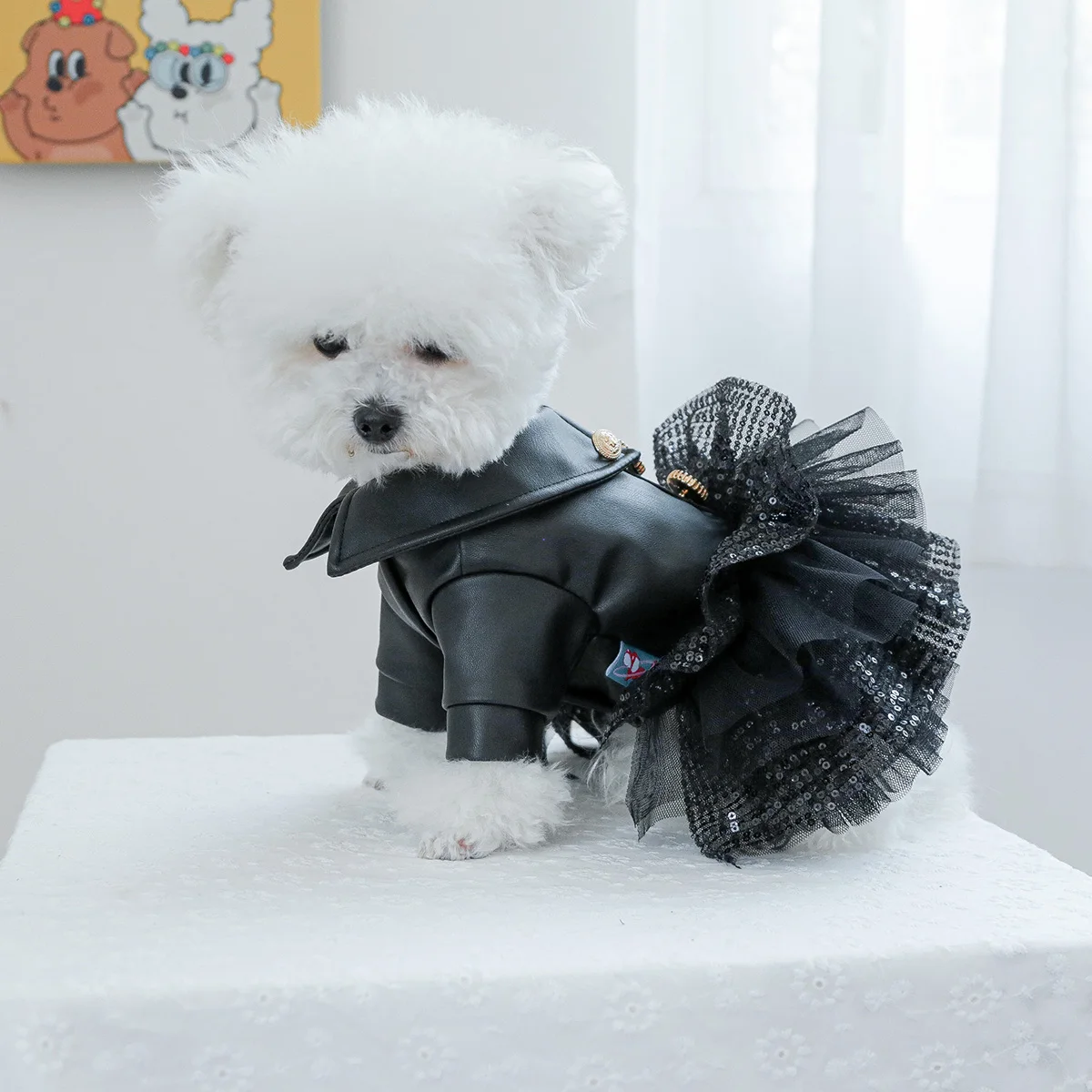 Perro modelo luciendo el vestido en un paseo otoñal