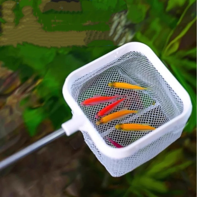 Red de pesca retráctil acero inoxidable con malla fina para acuarios - imagen 4