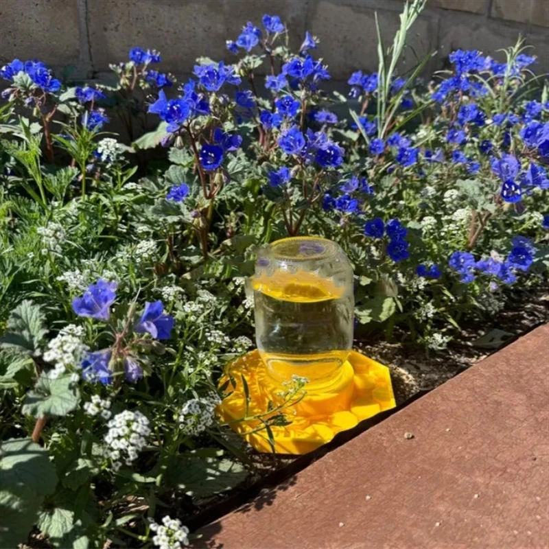 Bebedero para abejas con diseño hexagonal