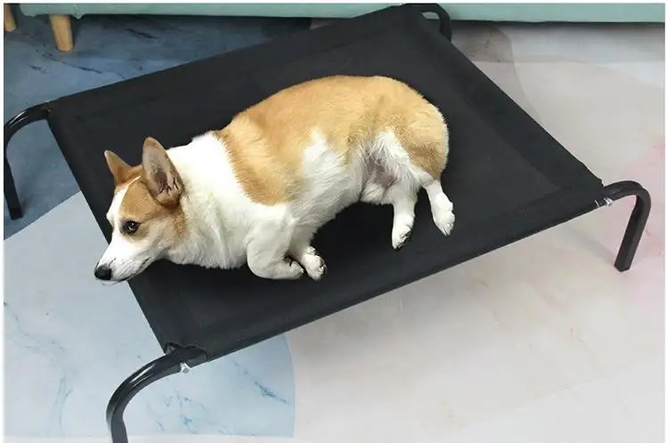 Perro grande descansando cómodamente en la cama suspendida