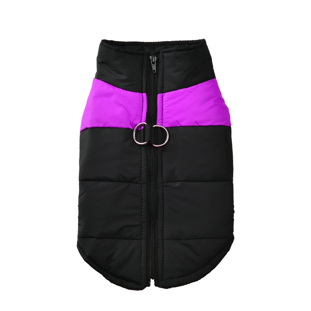 Perro golden retriever con chaqueta impermeable Holapet