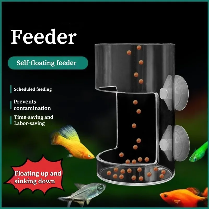 Comedero flotante transparente para acuario visto desde arriba