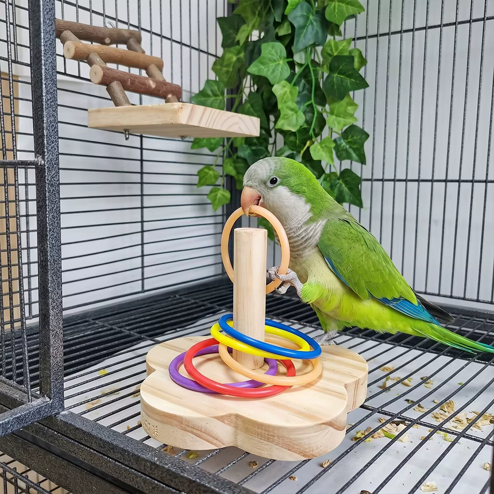 Juguete de inteligencia en madera para loros: puzzle anillos