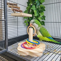 Juguete de inteligencia en madera para loros: puzzle anillos
