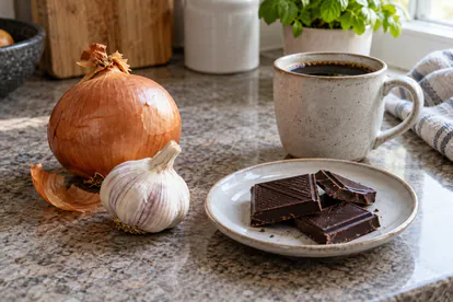 Cebolla, ajo, chocolate negro y una taza de café sobre una encimera sin animales cerca