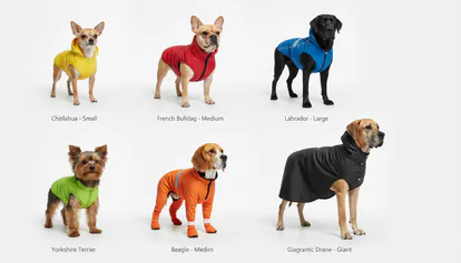 Diferentes tipos de abrigos y chubasqueros para perros de distintas tallas.