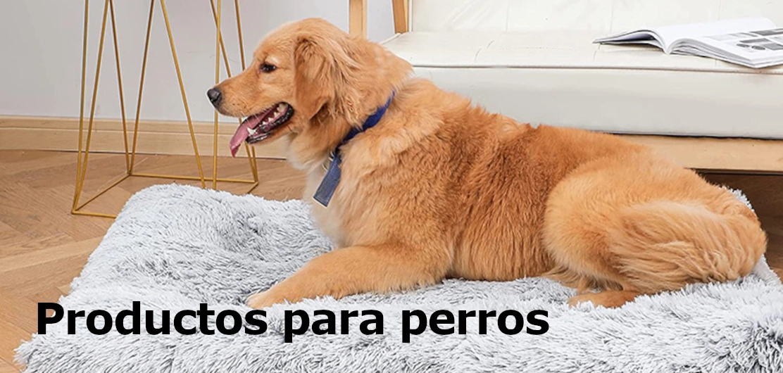 Ver productos y accesorios para perros